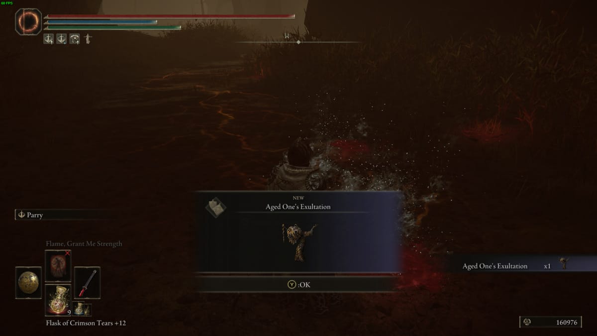 Elden Ring Shadow of the Erdtree talisman: Tarnished in the Abyssal Woods.