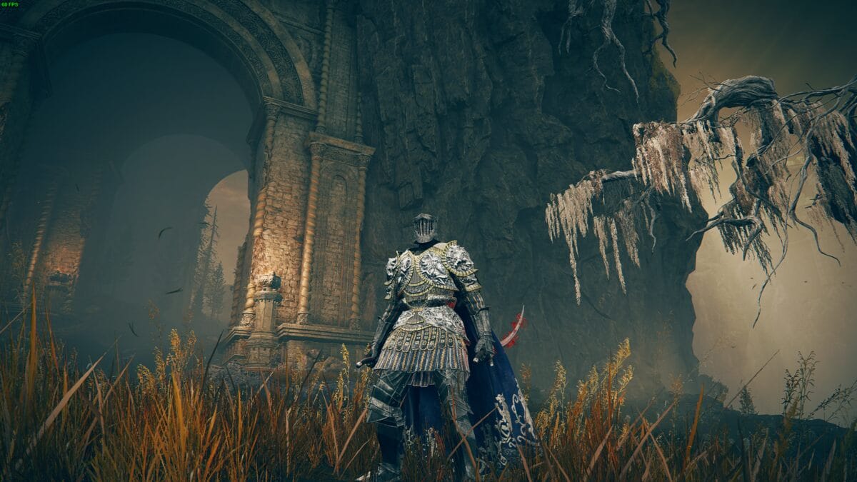 Elden Ring Shadow of the Erdtree best Backhand Blade build: Tarnished in the Realm of Shadow.