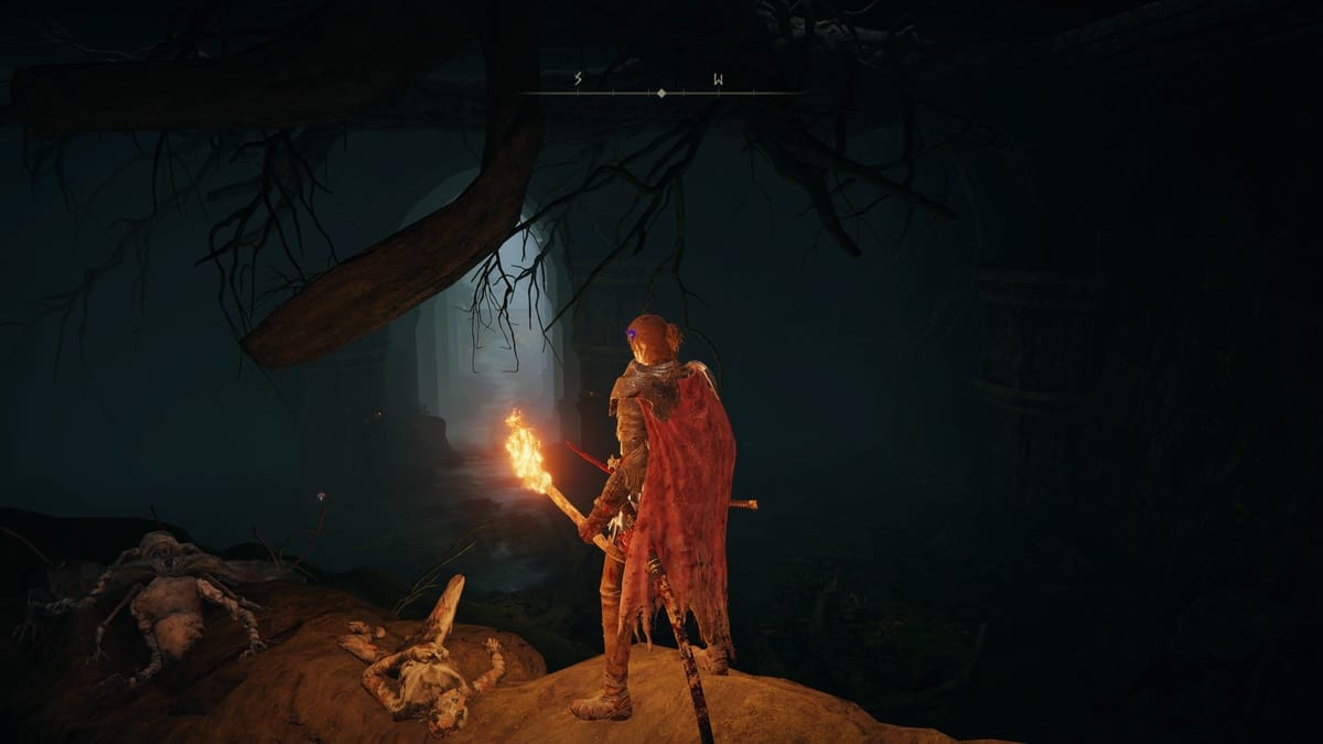 Elden Ring Shadow of the Erdtree: the realm of shadow map.