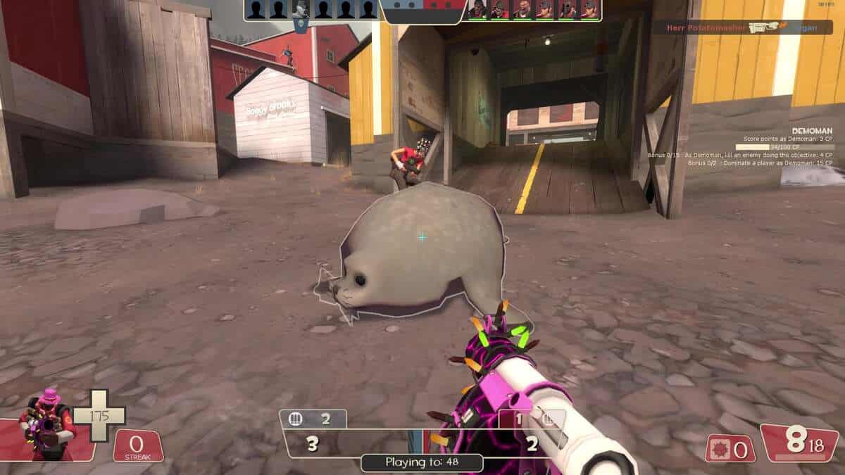 How Valve has treated TF2 is a disgrace: A player crouching down next to a seal on a rocky beach next to some wooden buildings.